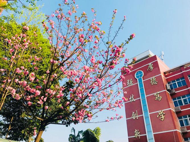 成都市机械高级技工学校官方网站首页,成都市机械技工学校地址?-第2张图片-职教招生网 成都市机械高级技工学校官方网站首页,成都市机械技工学校地址?-第2张图片-职教招生网