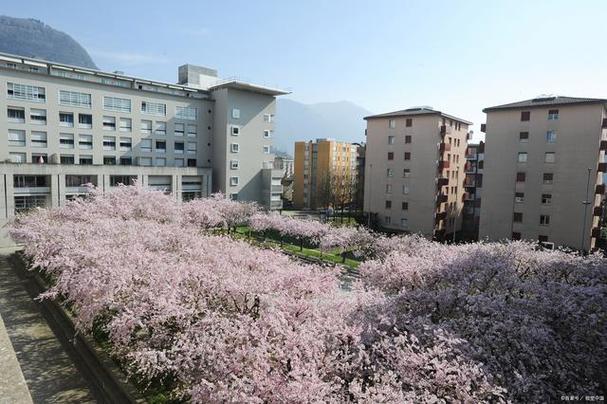 攀枝花技师学院学费多少,攀枝花技师学院学费多少钱-第6张图片-职教招生网 攀枝花技师学院学费多少,攀枝花技师学院学费多少钱-第6张图片-职教招生网