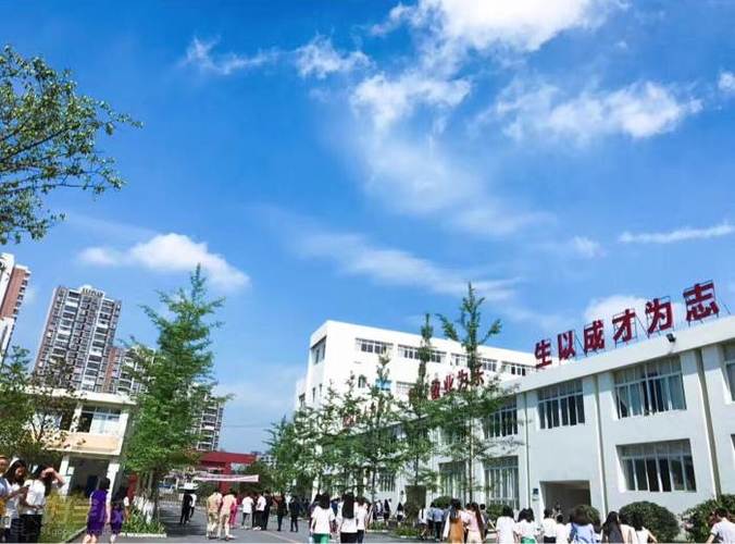 成都新运(高铁)职业学校简介，成都新运高铁职业技术学院？