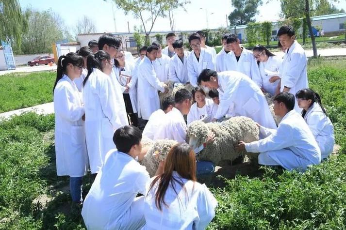 四川省水产学校如何,四川省水产学校如何报名-第4张图片-职教招生网 四川省水产学校如何,四川省水产学校如何报名-第4张图片-职教招生网