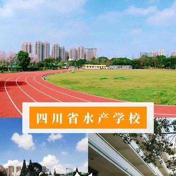 四川省水产学校如何,四川省水产学校如何报名-第6张图片-职教招生网 四川省水产学校如何,四川省水产学校如何报名-第6张图片-职教招生网