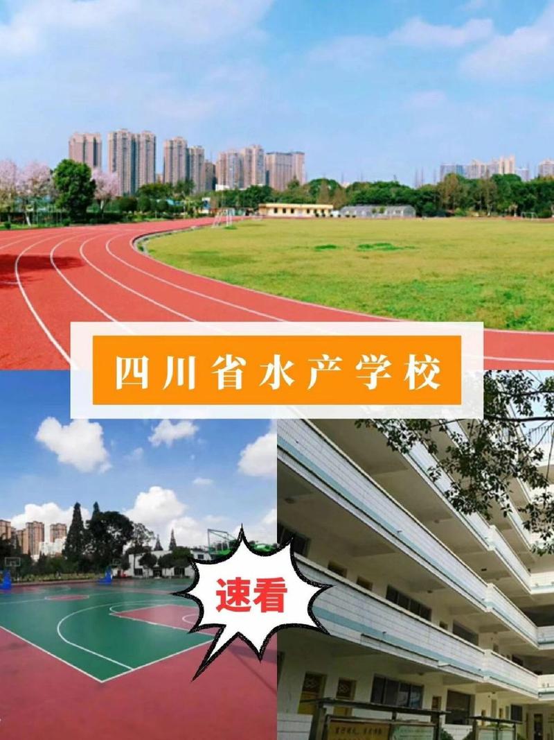 四川省水产学校如何,四川省水产学校如何报名-第7张图片-职教招生网 四川省水产学校如何,四川省水产学校如何报名-第7张图片-职教招生网
