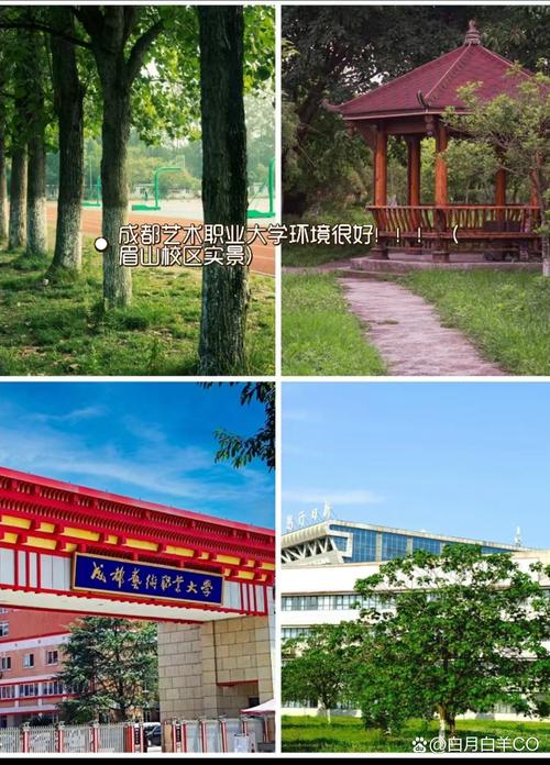 四川艺术职业学院有几个校区?四川艺术职业技术学院有几个校区?-第7张图片-职教招生网 四川艺术职业学院有几个校区?四川艺术职业技术学院有几个校区?-第7张图片-职教招生网