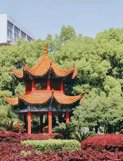 长沙汽车职业技术学校?长沙汽车技师学院?-第4张图片-职教招生网 长沙汽车职业技术学校?长沙汽车技师学院?-第4张图片-职教招生网