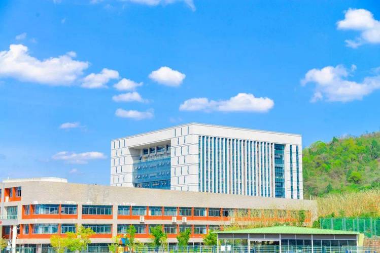 四川科技职业学院对口专升本学校,2021四川科技职业学院专升本对口学校?-第1张图片-职教招生网 四川科技职业学院对口专升本学校,2021四川科技职业学院专升本对口学校?-第1张图片-职教招生网