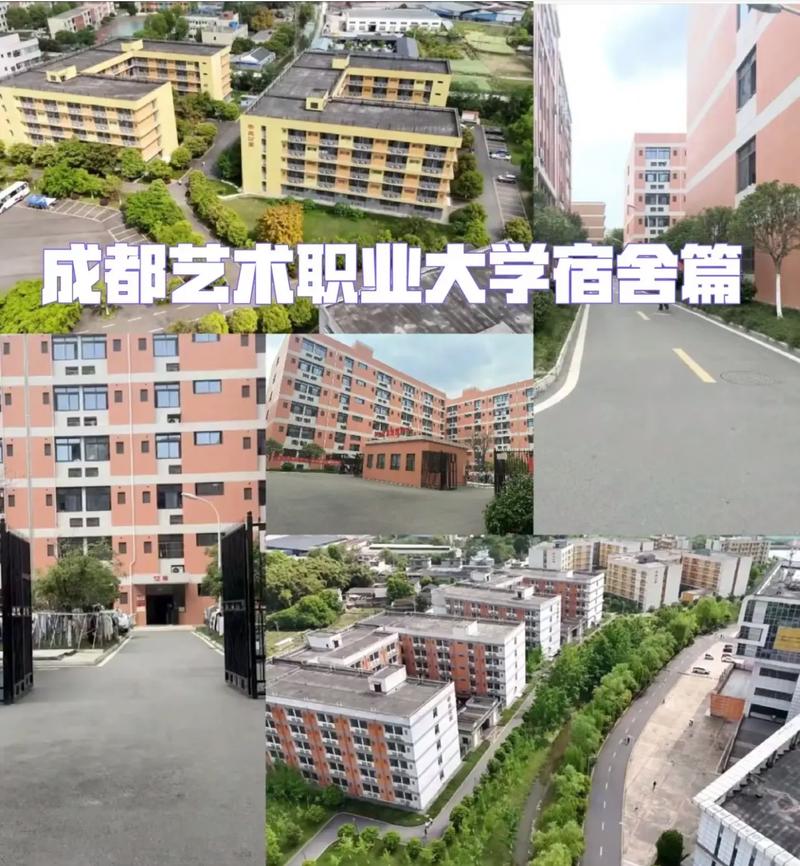 成艺术职业学院，艺术职业学院排名