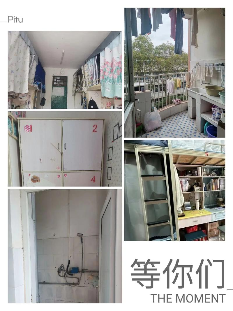 凉山州劳动职业技术学院,凉山州劳动保障信息网官方网站-第7张图片-职教招生网 凉山州劳动职业技术学院,凉山州劳动保障信息网官方网站-第7张图片-职教招生网