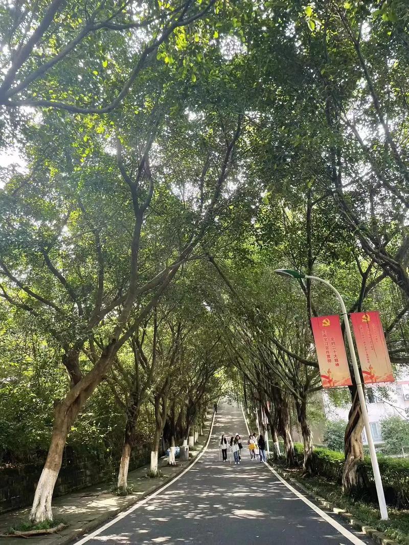 重庆公立职业中学有哪些,重庆公办职业中学?-第2张图片-职教招生网 重庆公立职业中学有哪些,重庆公办职业中学?-第2张图片-职教招生网