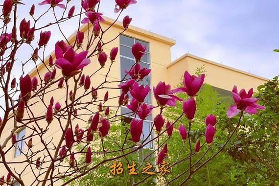 宜宾天成职业技术学校,宜宾天成职业技术学校新校区?-第4张图片-职教招生网 宜宾天成职业技术学校,宜宾天成职业技术学校新校区?-第4张图片-职教招生网