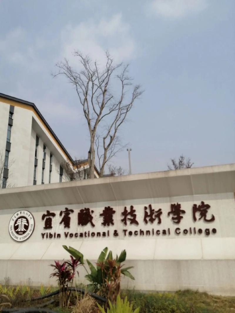 宜宾职业技术学院是公办还是民办,宜宾职业技术学院怎么样?-第2张图片-职教招生网 宜宾职业技术学院是公办还是民办,宜宾职业技术学院怎么样?-第2张图片-职教招生网