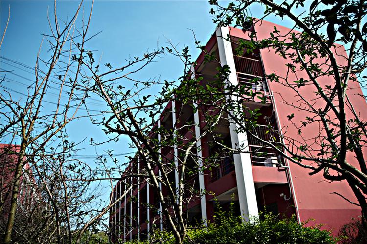 成都市天府技术学校,成都天府职业技术学院官方网站?-第7张图片-职教招生网 成都市天府技术学校,成都天府职业技术学院官方网站?-第7张图片-职教招生网