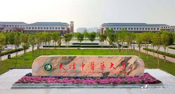 天津中医药大学中医,天津中医药大学中医师承班?-第5张图片-职教招生网 天津中医药大学中医,天津中医药大学中医师承班?-第5张图片-职教招生网