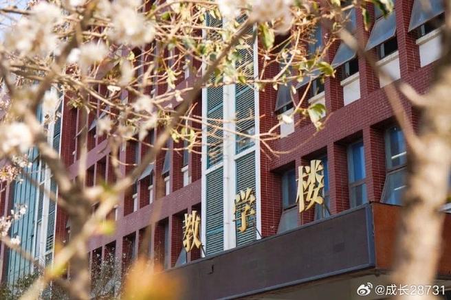 专业电子商务学校?专业电子商务学校推荐?-第2张图片-职教招生网 专业电子商务学校?专业电子商务学校推荐?-第2张图片-职教招生网