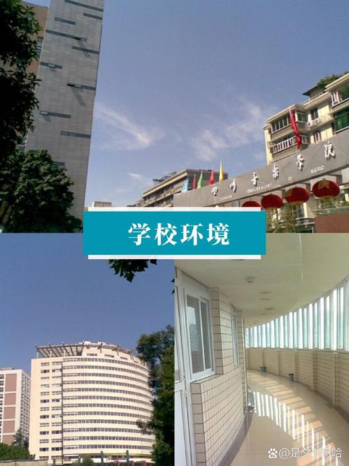 四川音乐学院附属高中,四川音乐学院附属高中2023录取分数线?-第2张图片-职教招生网 四川音乐学院附属高中,四川音乐学院附属高中2023录取分数线?-第2张图片-职教招生网