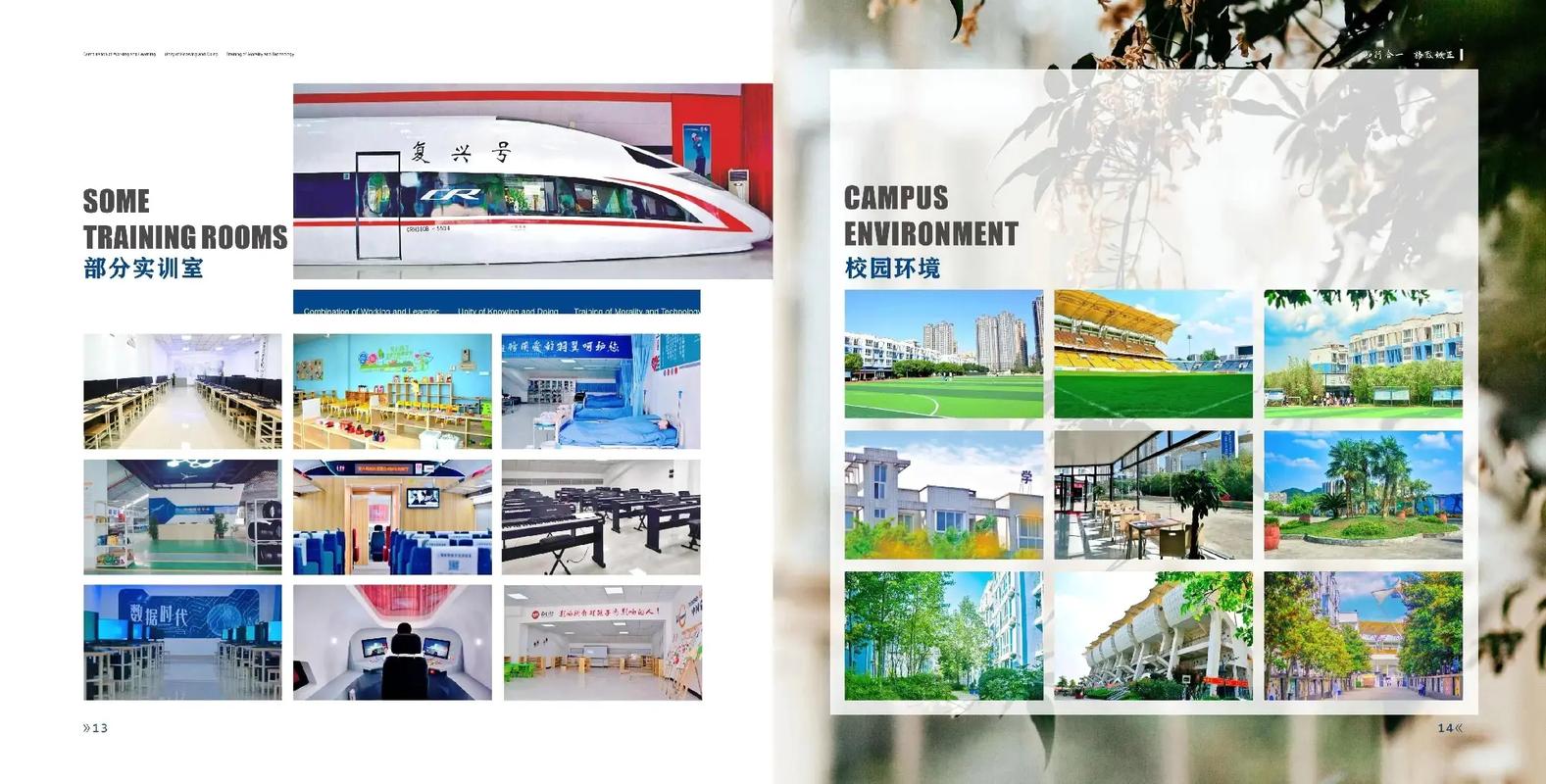 四川龙泉科技技工学校,四川龙泉科技技工学校官方网站?-第1张图片-职教招生网 四川龙泉科技技工学校,四川龙泉科技技工学校官方网站?-第1张图片-职教招生网