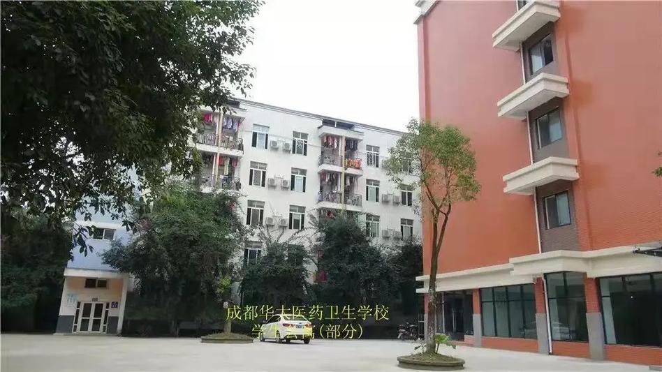 成都华大医药卫生学校录取分数,成都华大医药卫生学校分数线2020?-第3张图片-职教招生网 成都华大医药卫生学校录取分数,成都华大医药卫生学校分数线2020?-第3张图片-职教招生网