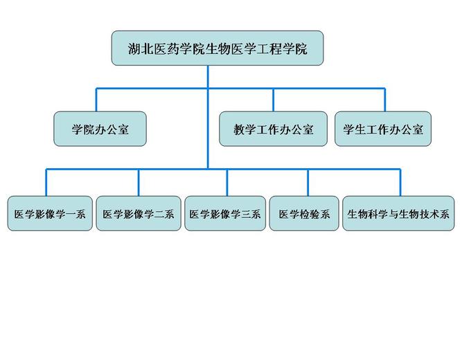 武汉生物工程职业技术学院?武汉生物工程职业技术学院代码?-第6张图片-职教招生网 武汉生物工程职业技术学院?武汉生物工程职业技术学院代码?-第6张图片-职教招生网