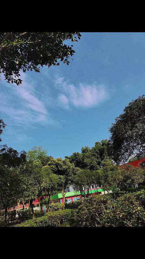 成都商务旅游学校怎么样,成都商务职业学校官方网站?-第2张图片-职教招生网 成都商务旅游学校怎么样,成都商务职业学校官方网站?-第2张图片-职教招生网