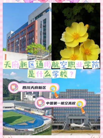 成都天府新区职业学校有哪些,成都天府新区职业技术学校怎么样-第4张图片-职教招生网 成都天府新区职业学校有哪些,成都天府新区职业技术学校怎么样-第4张图片-职教招生网