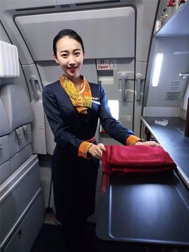 初中学航空专业好，初中毕业生学航空专业？