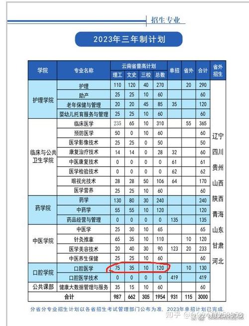 大专口腔医学报名?口腔医学专科学校报名?-第3张图片-职教招生网 大专口腔医学报名?口腔医学专科学校报名?-第3张图片-职教招生网