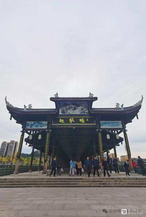 巴中市恩阳区,巴中市恩阳区职业中学-第4张图片-职教招生网 巴中市恩阳区,巴中市恩阳区职业中学-第4张图片-职教招生网