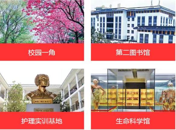 云南省卫生职业学院?云南省卫生职业学院是公办吗?-第4张图片-职教招生网 云南省卫生职业学院?云南省卫生职业学院是公办吗?-第4张图片-职教招生网