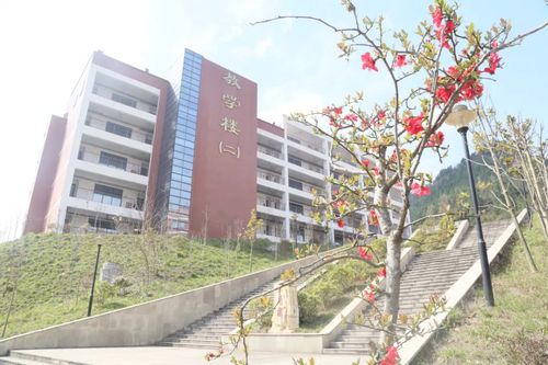 通江县至诚职业中学官方网站,通江县至诚职业中学官方网站首页-第2张图片-职教招生网 通江县至诚职业中学官方网站,通江县至诚职业中学官方网站首页-第2张图片-职教招生网
