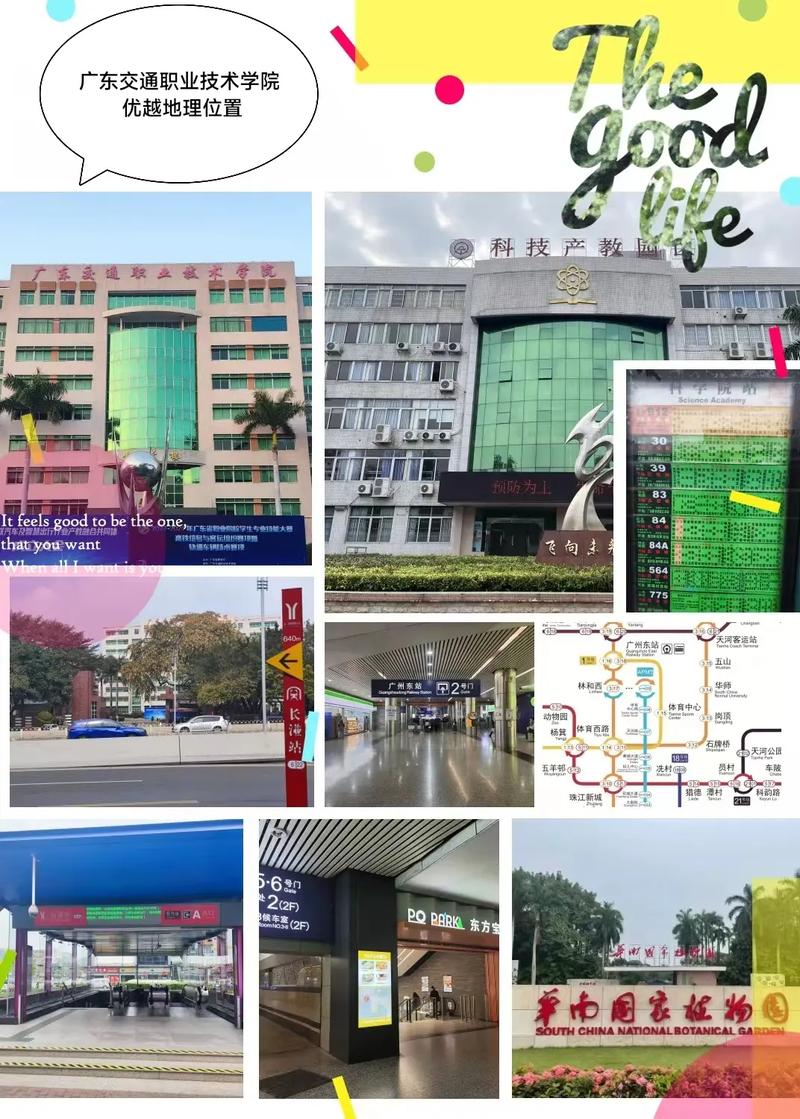 广东交通职业运输学校官方网站,广东交通职业技术学校官方网站-第5张图片-职教招生网 广东交通职业运输学校官方网站,广东交通职业技术学校官方网站-第5张图片-职教招生网