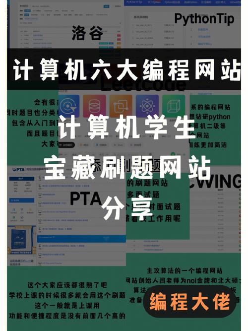 计算机编程是属于什么专业?计算机编程是属于什么专业的?-第1张图片-职教招生网 计算机编程是属于什么专业?计算机编程是属于什么专业的?-第1张图片-职教招生网