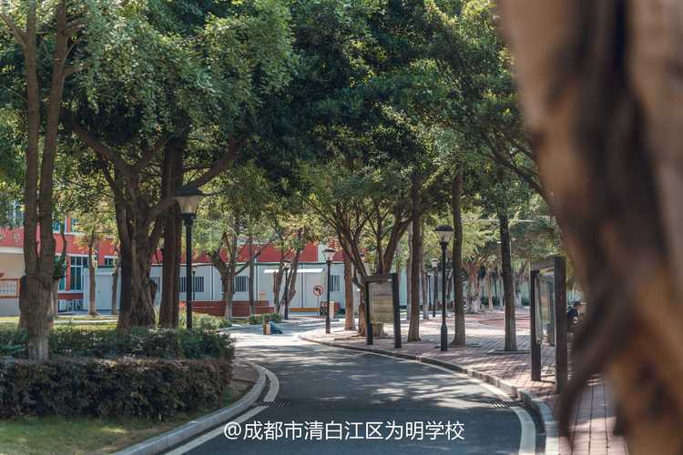 邛崃职高地址,邛崃职业高中?-第4张图片-职教招生网 邛崃职高地址,邛崃职业高中?-第4张图片-职教招生网