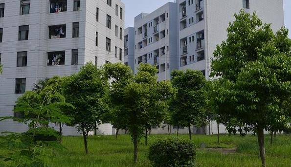 四川省红十字所卫校,四川省红十字所卫校官方网站-第2张图片-职教招生网 四川省红十字所卫校,四川省红十字所卫校官方网站-第2张图片-职教招生网