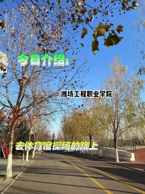 潍坊工程职业学院在山上吗,潍坊工程职业学院占地多少亩-第2张图片-职教招生网 潍坊工程职业学院在山上吗,潍坊工程职业学院占地多少亩-第2张图片-职教招生网