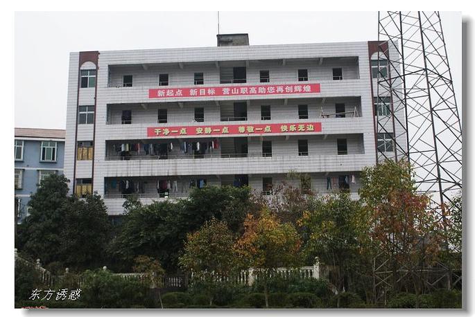 营山职业高级中学新校区,营山职业高级中学新校区,属于什么街道什么社区-第3张图片-职教招生网 营山职业高级中学新校区,营山职业高级中学新校区,属于什么街道什么社区-第3张图片-职教招生网
