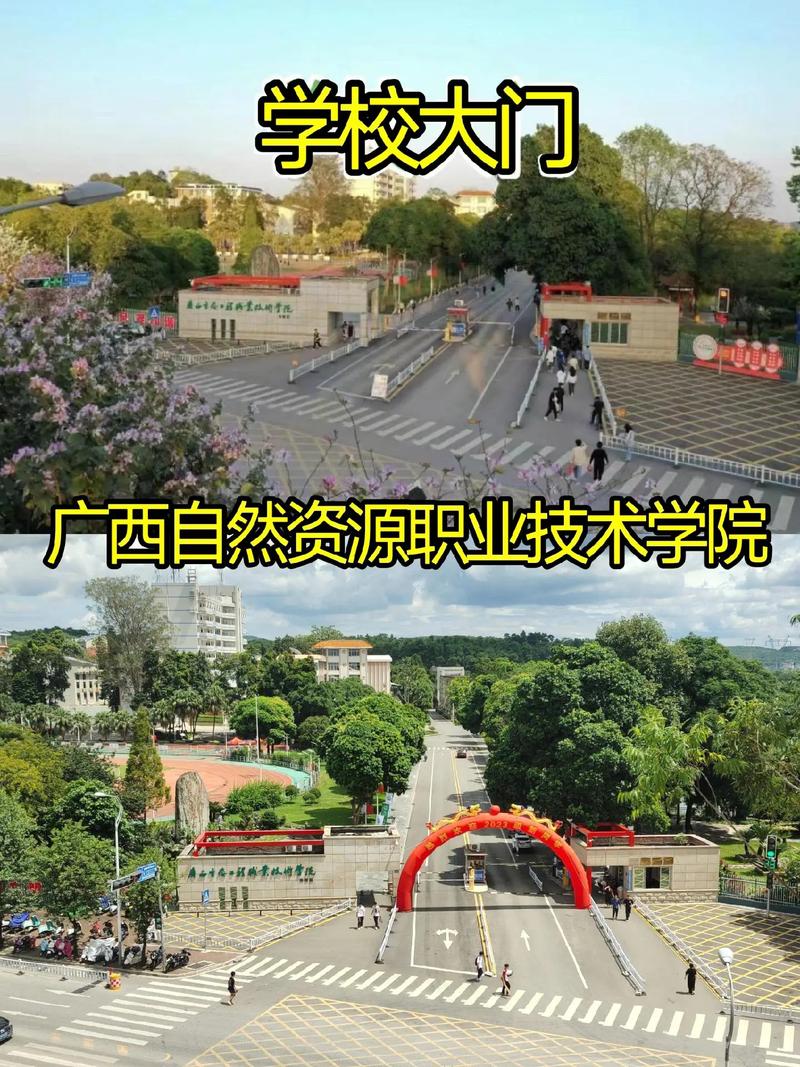 职业学院和职业技术学院,职业学院和职业技术学院哪个好?-第4张图片-职教招生网 职业学院和职业技术学院,职业学院和职业技术学院哪个好?-第4张图片-职教招生网