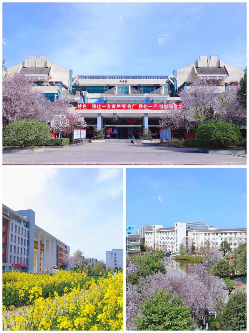 川北幼儿师范高等专科学校北校区,川北幼儿师范学校高等专科学校的位置-第2张图片-职教招生网 川北幼儿师范高等专科学校北校区,川北幼儿师范学校高等专科学校的位置-第2张图片-职教招生网