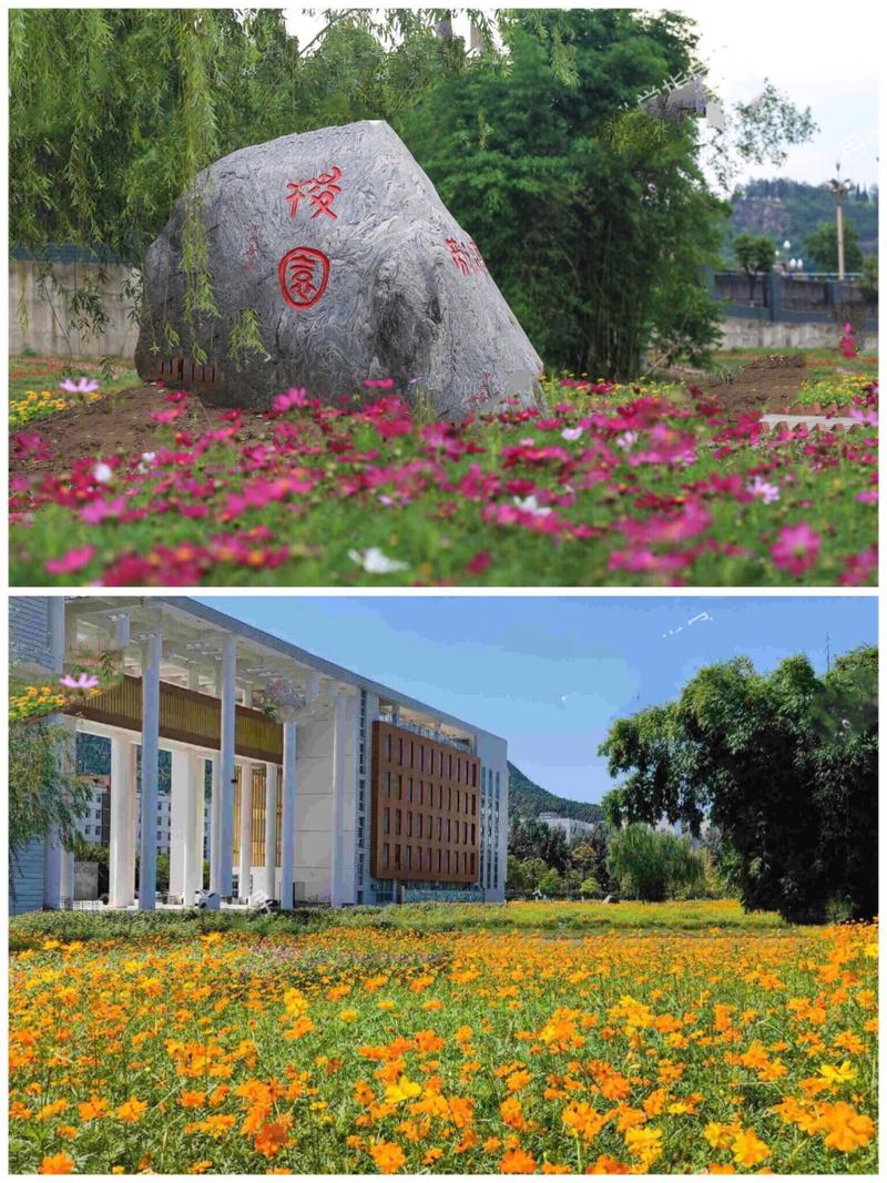 川北幼儿师范高等专科学校北校区,川北幼儿师范学校高等专科学校的位置-第3张图片-职教招生网 川北幼儿师范高等专科学校北校区,川北幼儿师范学校高等专科学校的位置-第3张图片-职教招生网