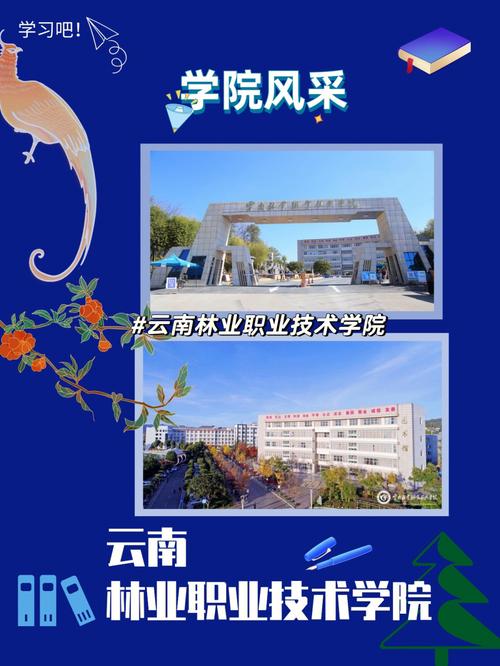 云南有哪些技工学校,云南有名的技校-第4张图片-职教招生网 云南有哪些技工学校,云南有名的技校-第4张图片-职教招生网