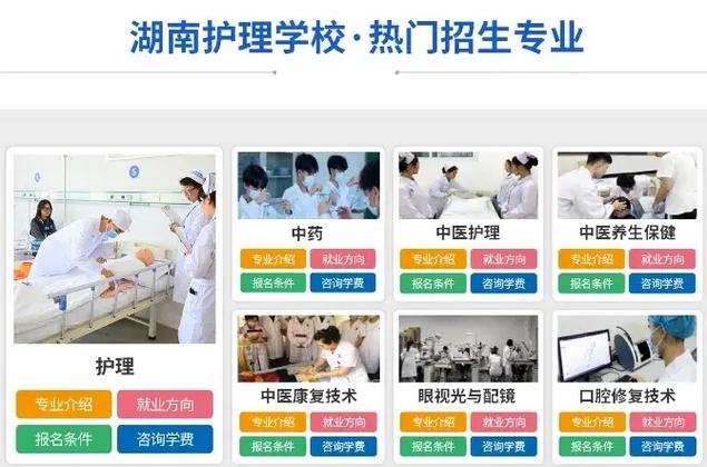 护理类有什么专业,护理类什么专业好就业-第5张图片-职教招生网 护理类有什么专业,护理类什么专业好就业-第5张图片-职教招生网