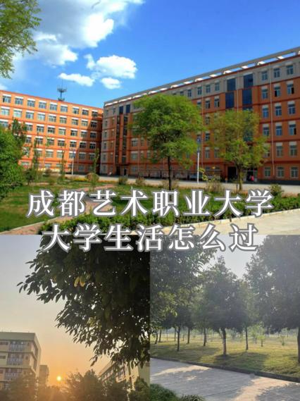 成都艺术职业大学怎么样，成都艺术职业大学怎么样是否野鸡大学-第8张图片-职教招生网