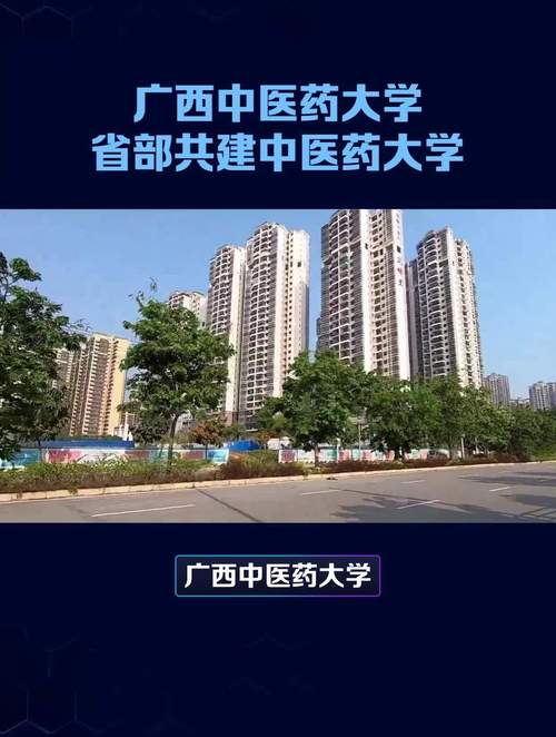 南宁药剂专业的中专学校,南宁药科学校是中专吗-第5张图片-职教招生网 南宁药剂专业的中专学校,南宁药科学校是中专吗-第5张图片-职教招生网
