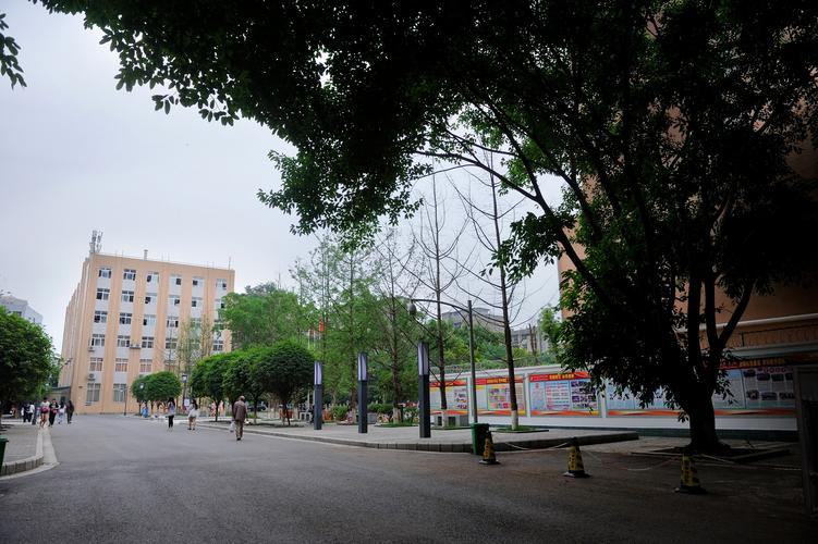资阳市师范，资阳市师范学院校长简历？-第4张图片-职教招生网