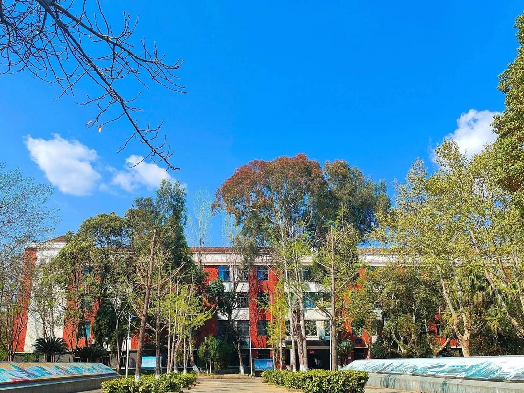 四川省建筑技术学校,四川省建筑技术职业学院-第5张图片-职教招生网 四川省建筑技术学校,四川省建筑技术职业学院-第5张图片-职教招生网