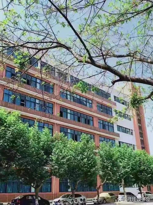 工业贸易学校怎么样，工业贸易学校怎么样啊