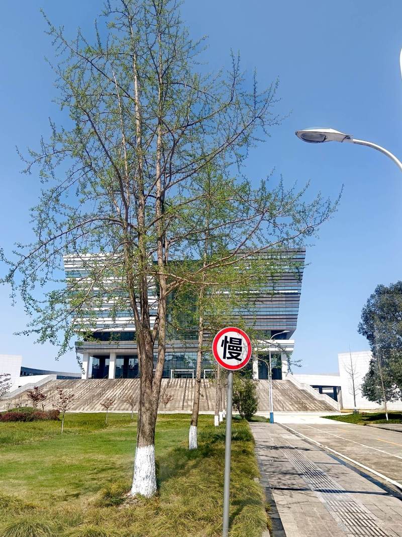 成都市工程职业技术学校青白江，成都市工程职业技术学校青白江照片