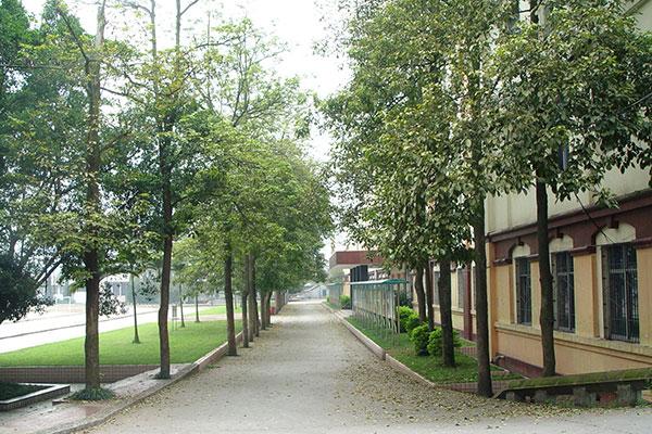 内江铁路机械学校有些什么专业,内江铁路机械学校简介-第5张图片-职教招生网 内江铁路机械学校有些什么专业,内江铁路机械学校简介-第5张图片-职教招生网