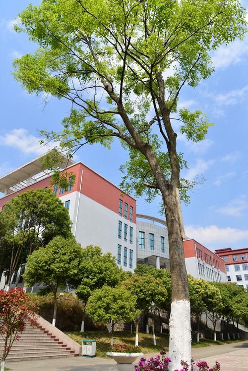 关于四川省交通高级技工学校的信息-第6张图片-职教招生网 关于四川省交通高级技工学校的信息-第6张图片-职教招生网